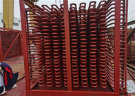 Superheater e Reheater da caldeira de carvão do permutador de calor para gerar a fornalha
