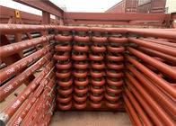 Superheater inoxidável de poupança de energia e Reheater da caldeira