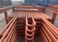 O Reheater padrão do Superheater da caldeira de ASME monta de aço inoxidável